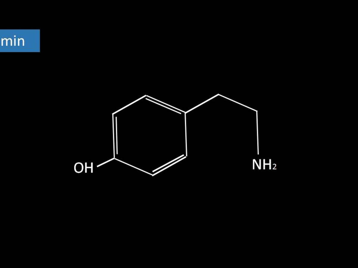 Tyramine Altmeyers Encyclopedia Department Allergology Tyramine Altmeyers Encyclopedia Department Allergology