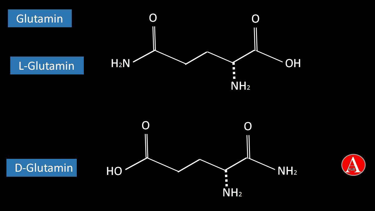 Glutamine - Altmeyers Encyclopedia - Department Allergology Glutamine - Altmeyers Encyclopedia - Department Allergology
