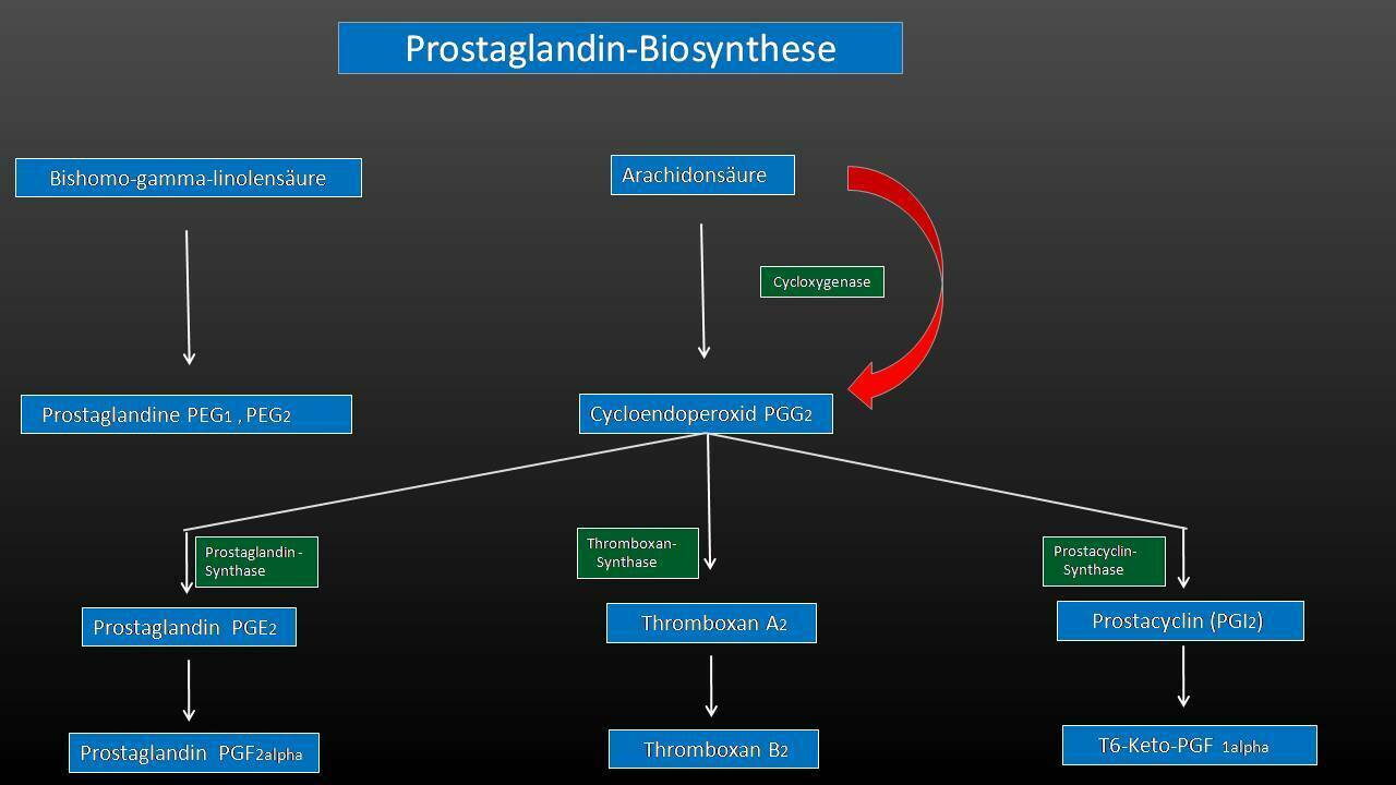 Prostaglandin d2 - Altmeyers Encyclopedia - Department Allergology
