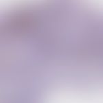 Xanthom verruziformes: Nach... Xanthom verruziformes: Nachweis von CD68 in den schaumigen Zellen der Hautpapillen
