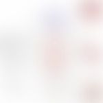 Pathologische Mechanismen von Aldosterone auf das kardiale, vaskuläre und renale System und Hemmu...