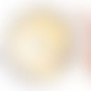 Feingold KR. Introduction t... Feingold KR. Introduction to Lipids and Lipoproteins. 2024 Jan 14. In: Feingold KR, et. al. edito...
