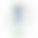 Vereinfachtes Prinzip eines... Vereinfachtes Prinzip eines Zellrezeptors. Abb. mittels KI erstellt.