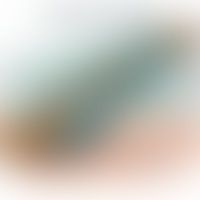 Mikrosporie: Schematische Darstellung eines Haarschaftes mit umhüllenden Mikrosporen. Abb erstell...