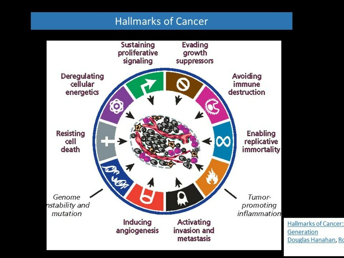 10 hallmarks of cancer