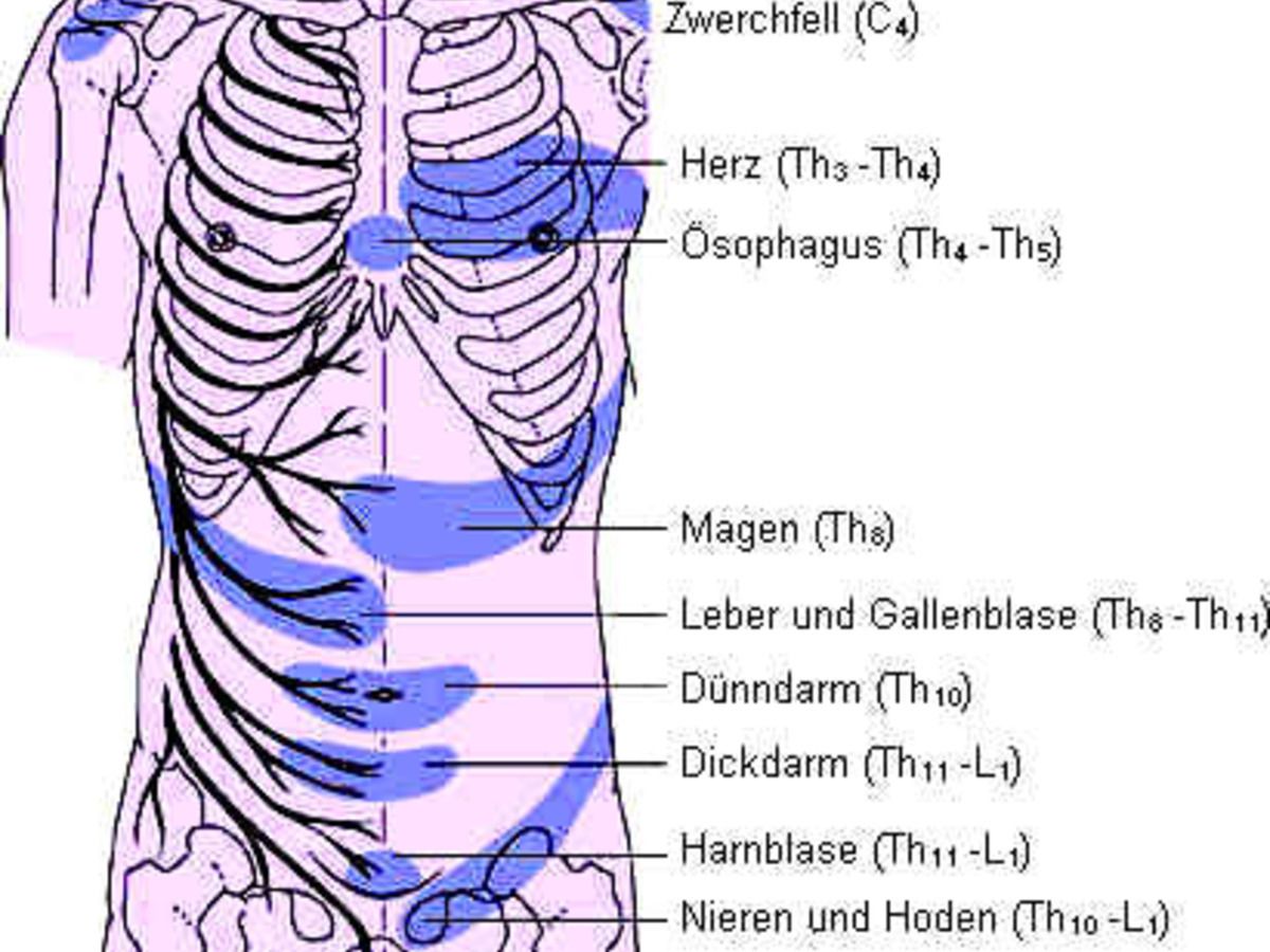 HEADZONE